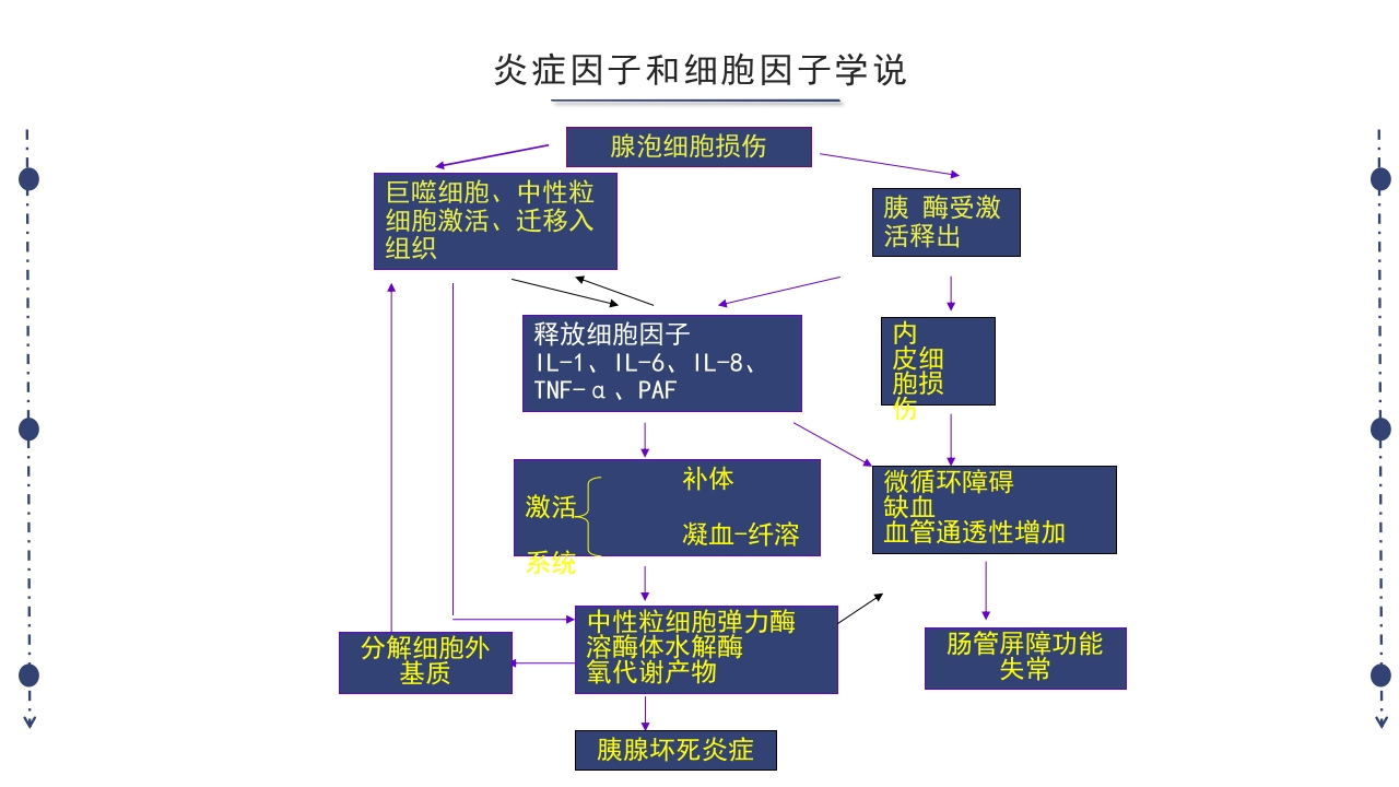 急性胰腺炎护理查房PPT课件下载17