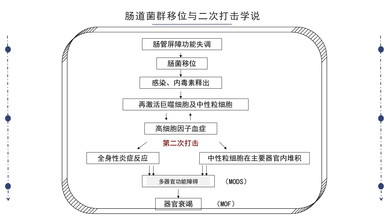 急性胰腺炎护理查房PPT课件下载18