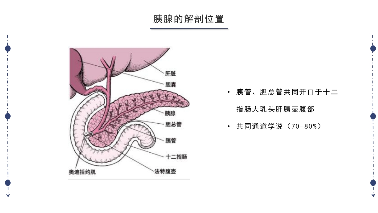 急性胰腺炎护理查房PPT课件下载5