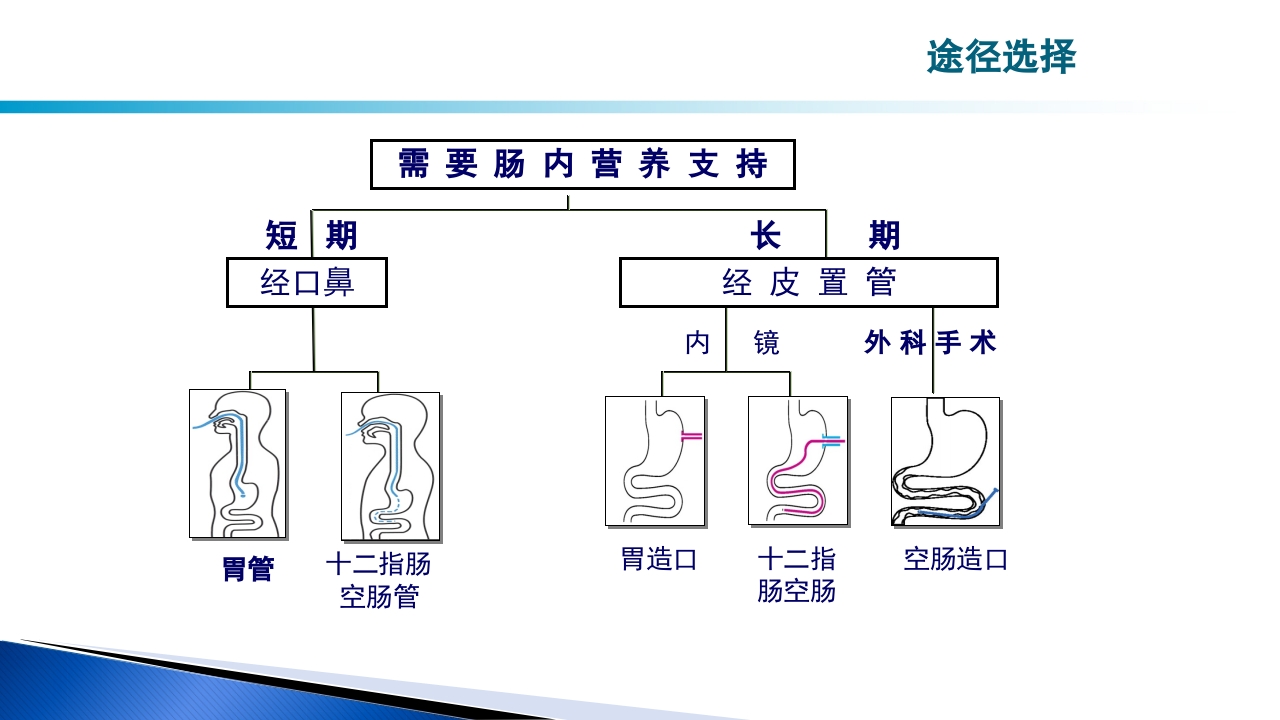 危重病人肠内营养的安全管理PPT课件19