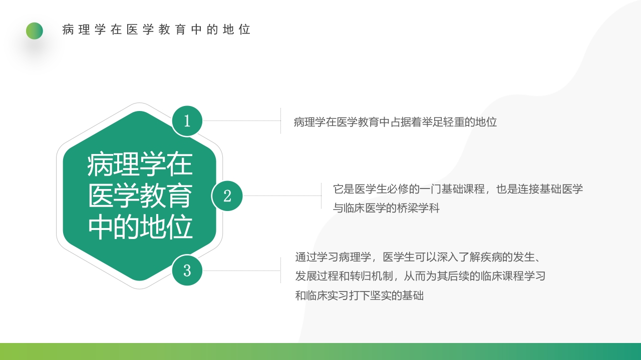 三基与病理PPT课件13