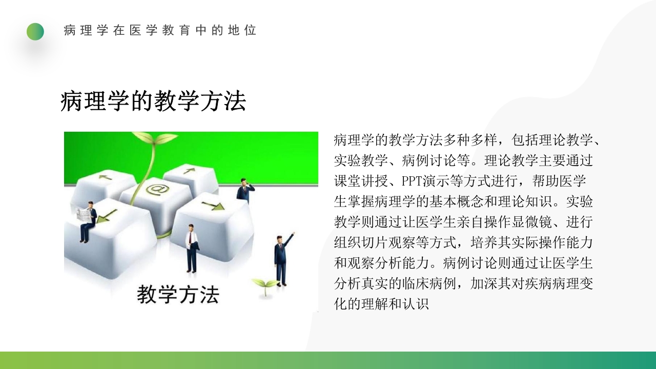 三基与病理PPT课件15