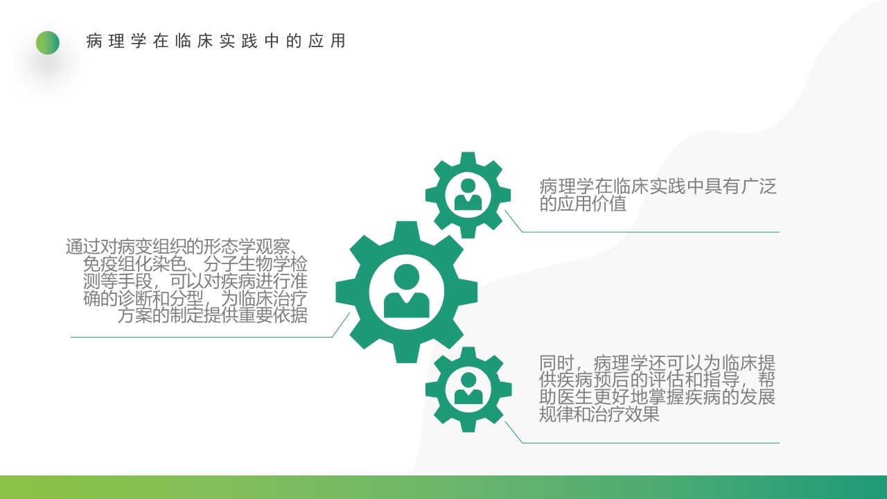 三基与病理PPT课件18