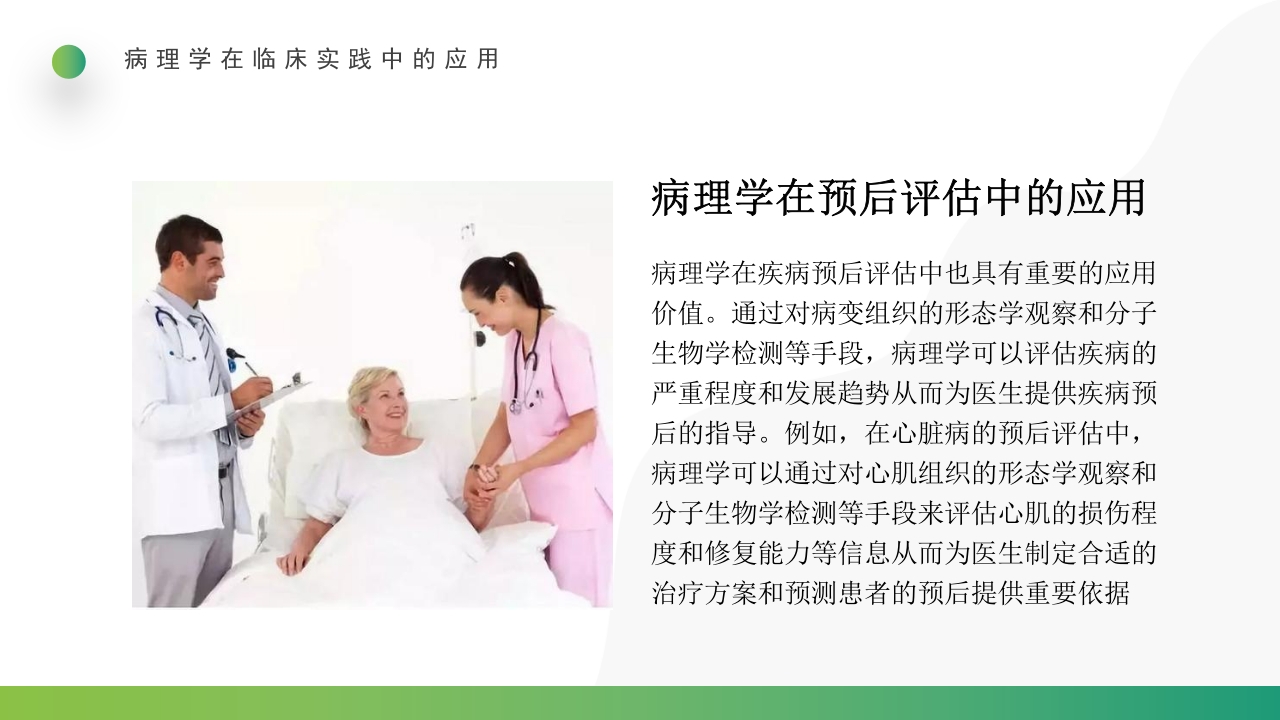 三基与病理PPT课件20