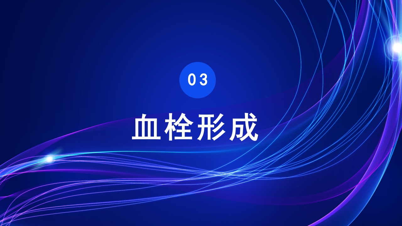 病理学第三章局部血液循环障碍PPT课件21