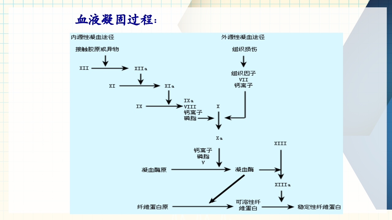 出血性疾病患者的护理PPT课件下载10