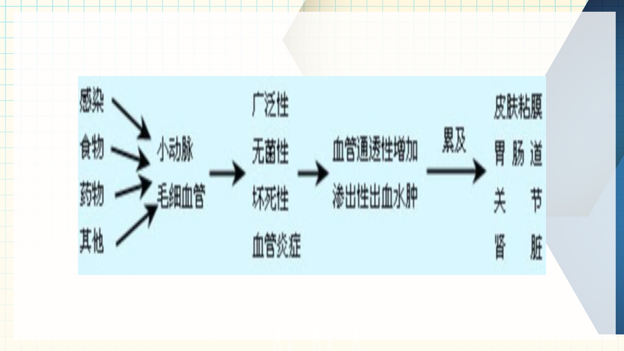 出血性疾病患者的护理PPT课件下载15