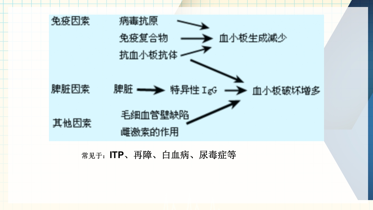出血性疾病患者的护理PPT课件下载17