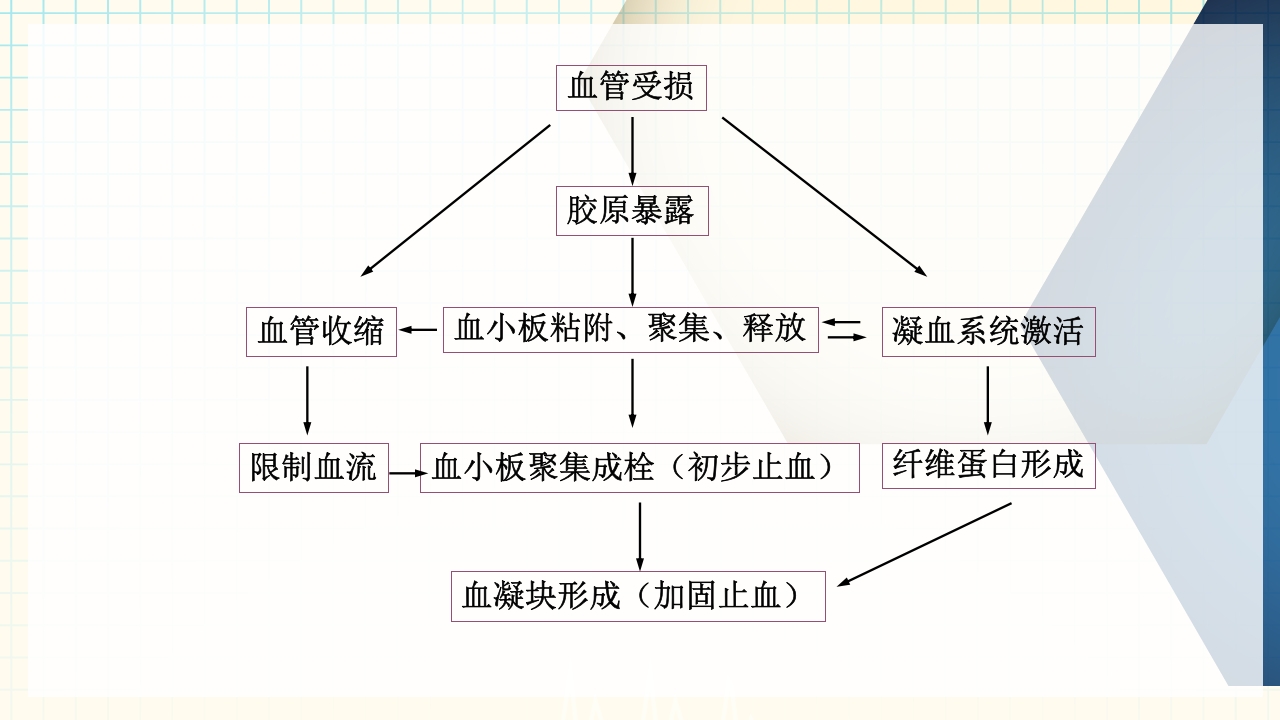 出血性疾病患者的护理PPT课件下载6