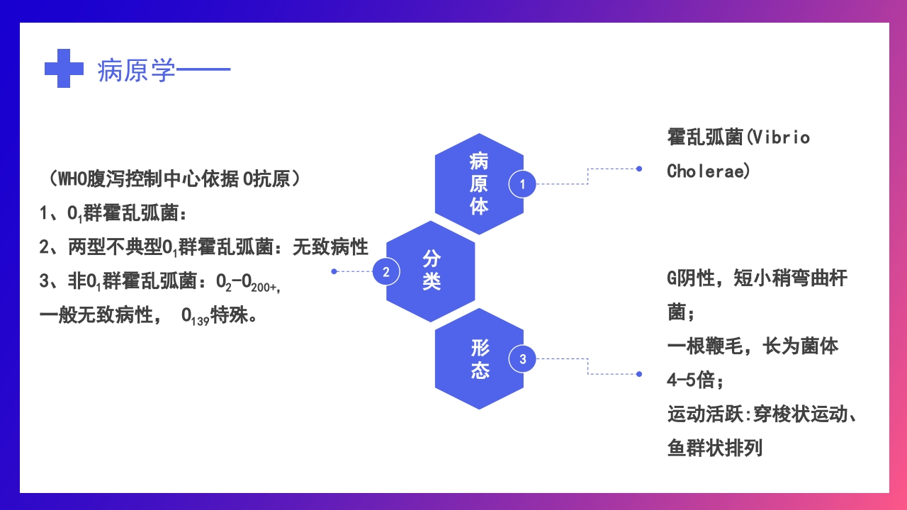 如何预防霍乱疾病传染病知识科普讲座PPT课件下载8