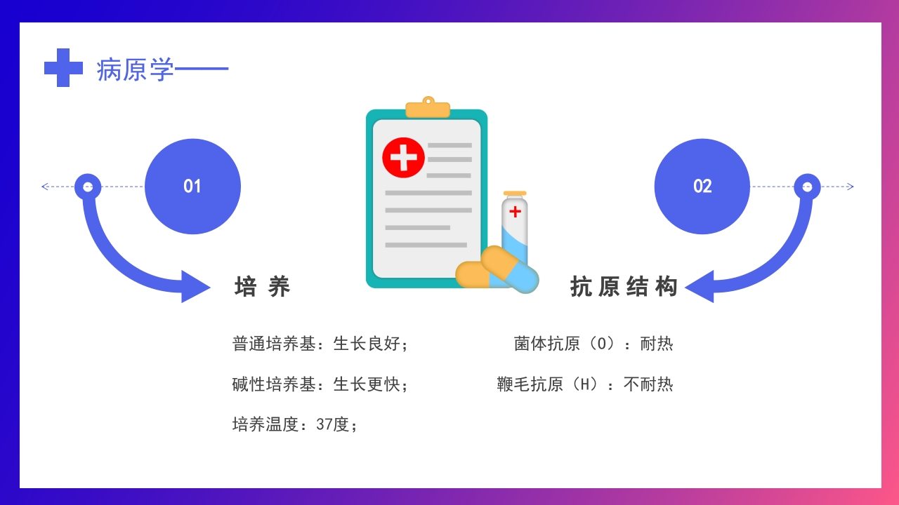 如何预防霍乱疾病传染病知识科普讲座PPT课件下载9