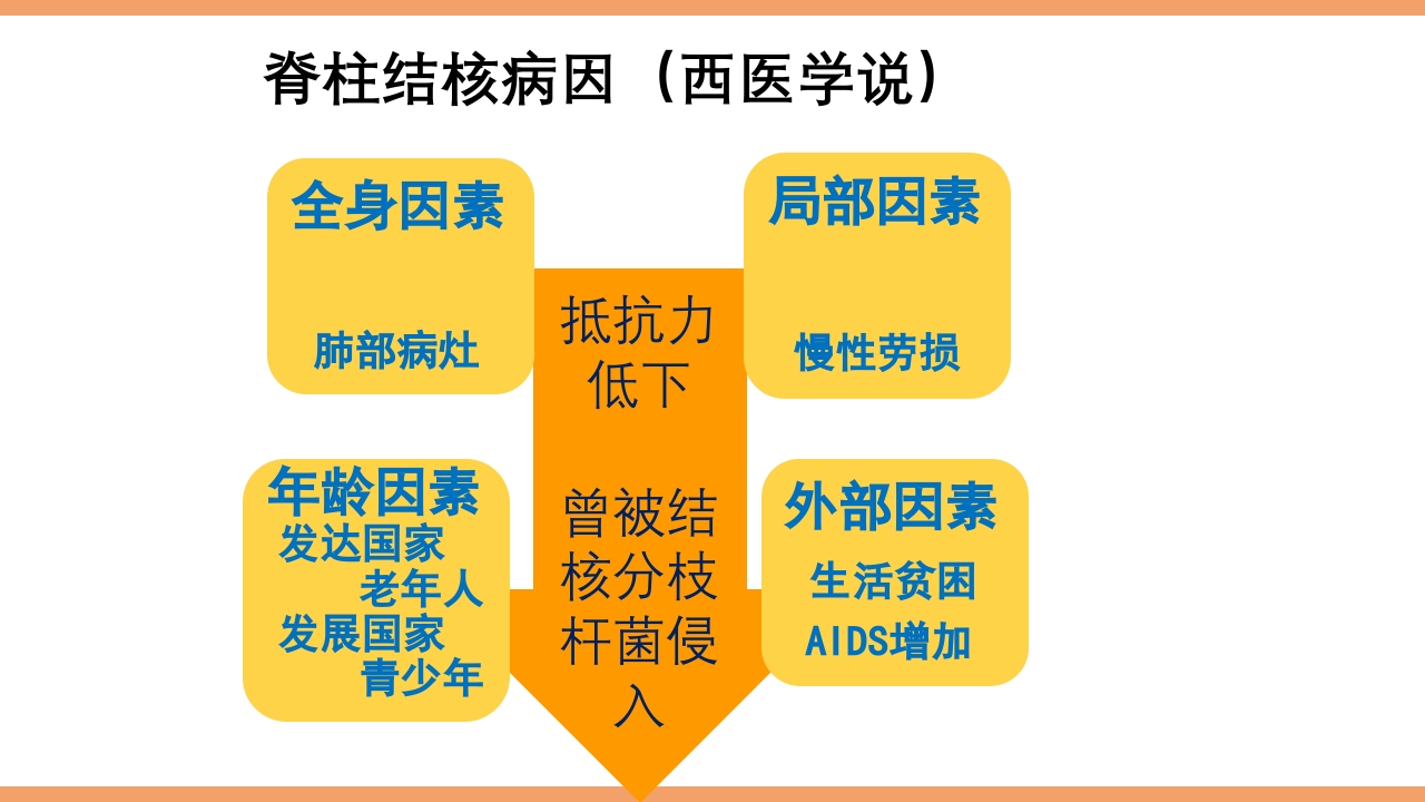 脊柱结核的护理PPT课件下载10
