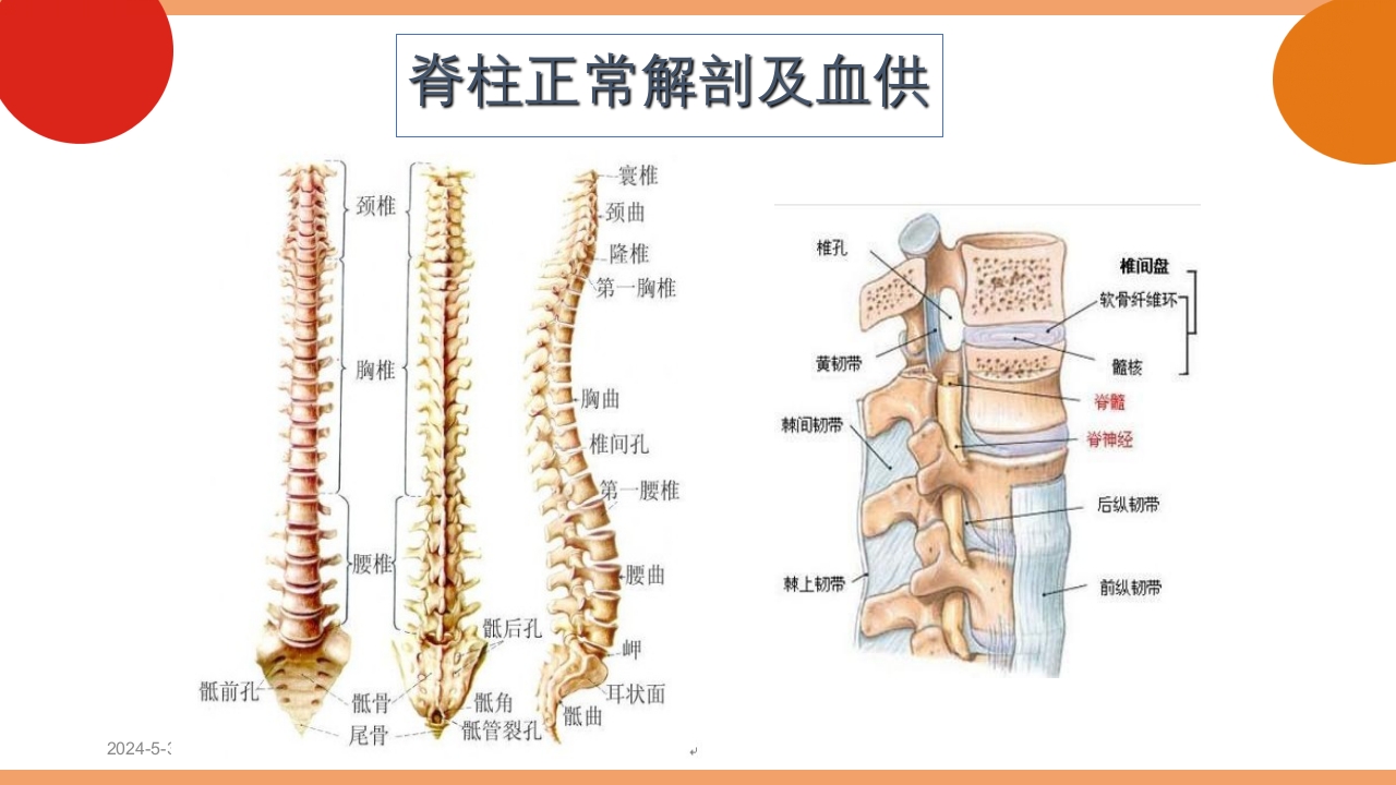 脊柱结核的护理PPT课件下载8