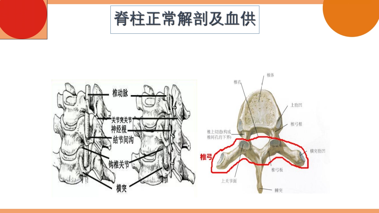 脊柱结核的护理PPT课件下载9