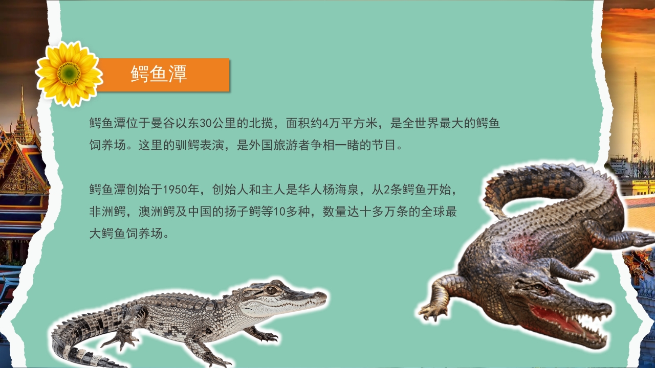 曼谷旅游旅行攻略萨瓦迪卡PPT课件7