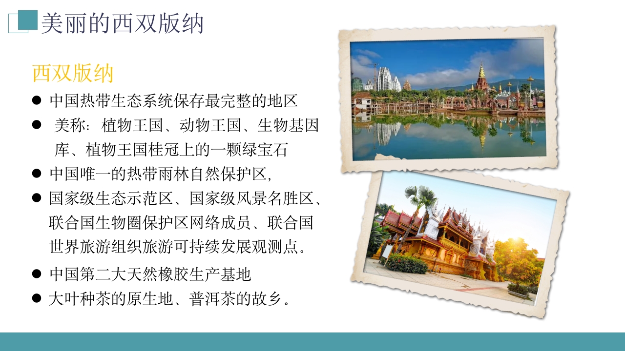 西双版纳云南旅游旅行风景文化习俗介绍PPT课件下载5