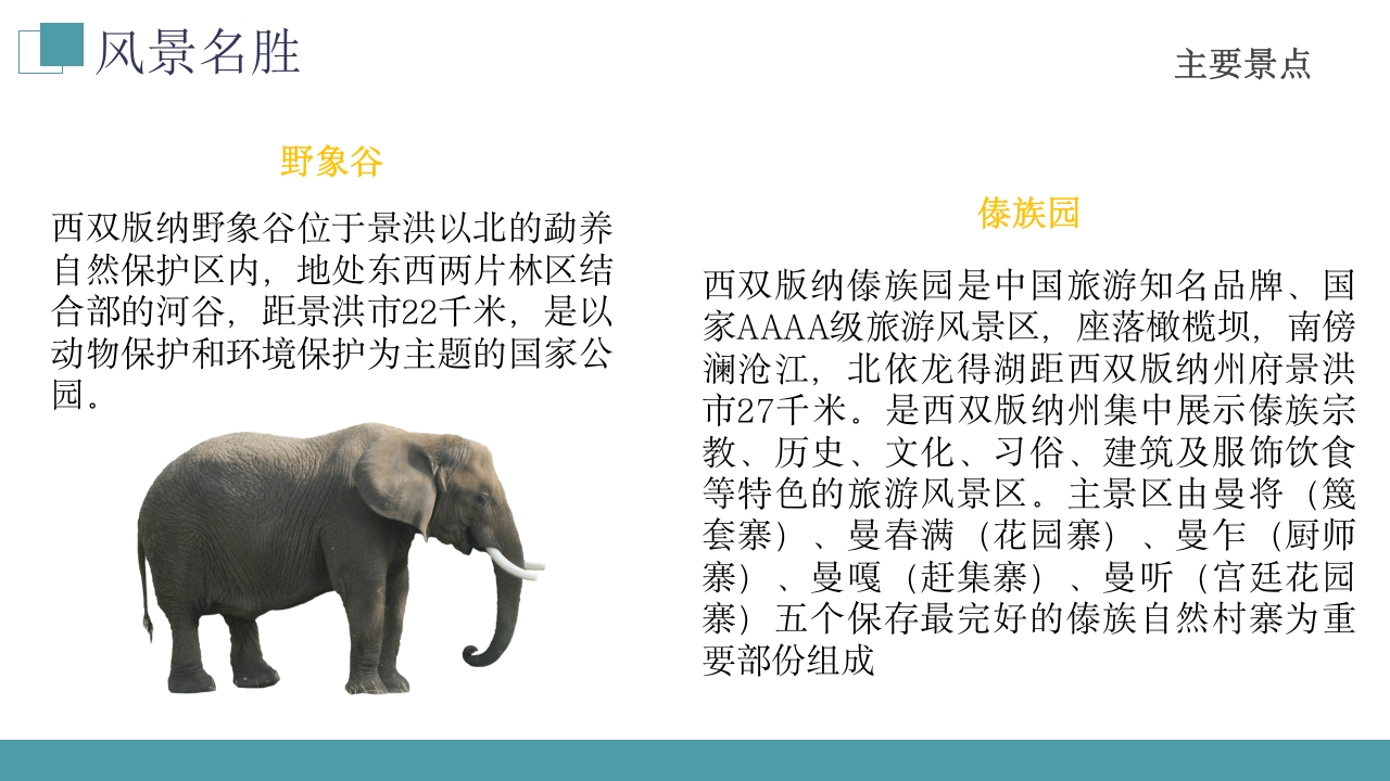 西双版纳云南旅游旅行风景文化习俗介绍PPT课件下载9