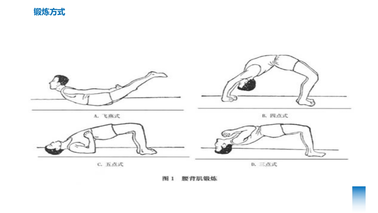 腰椎间盘突出的护理与康复PPT课件下载23