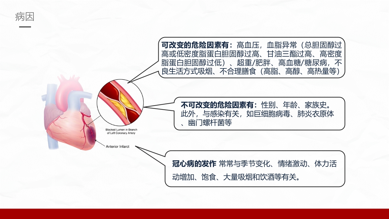 冠心病的护理业务学习课件PPT下载件6