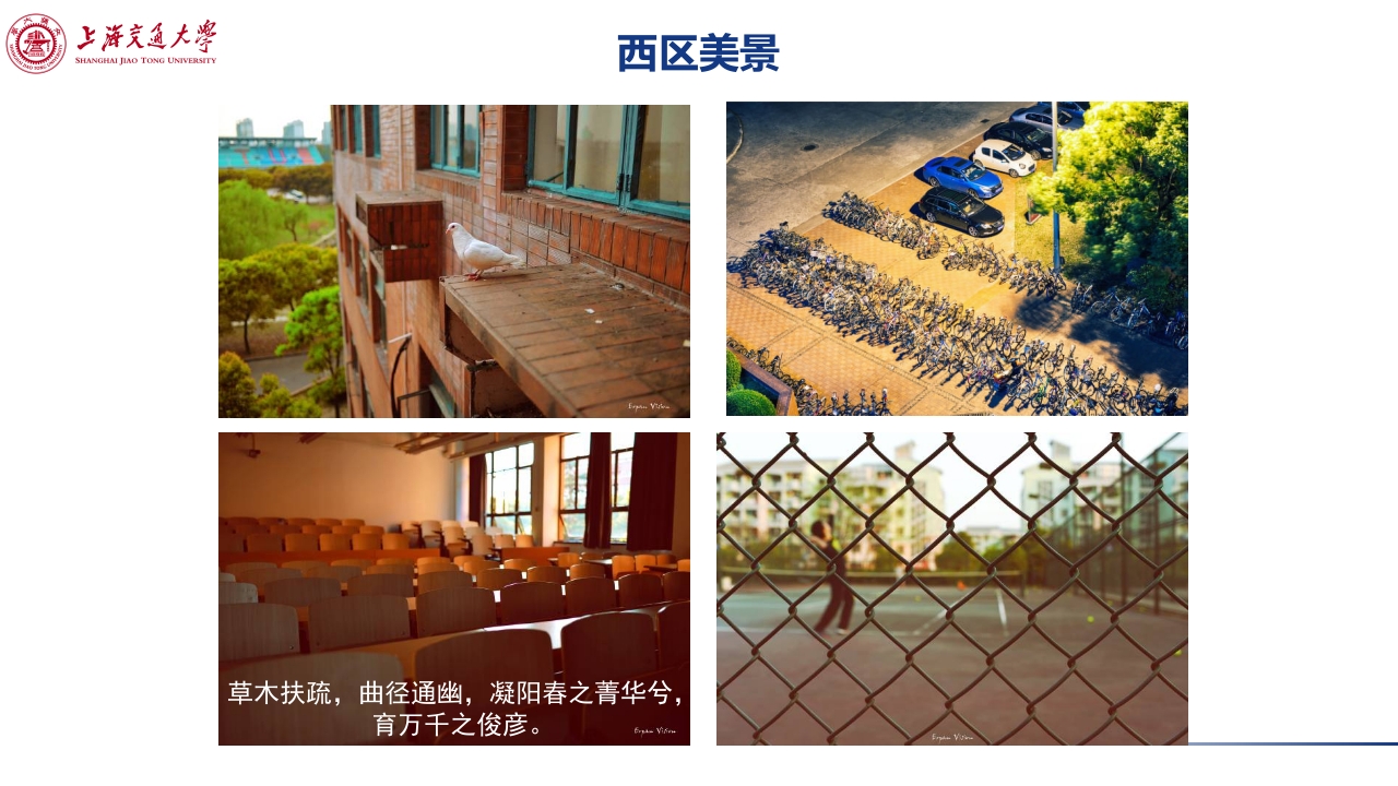 上海交通大学介绍PPT课件下载24