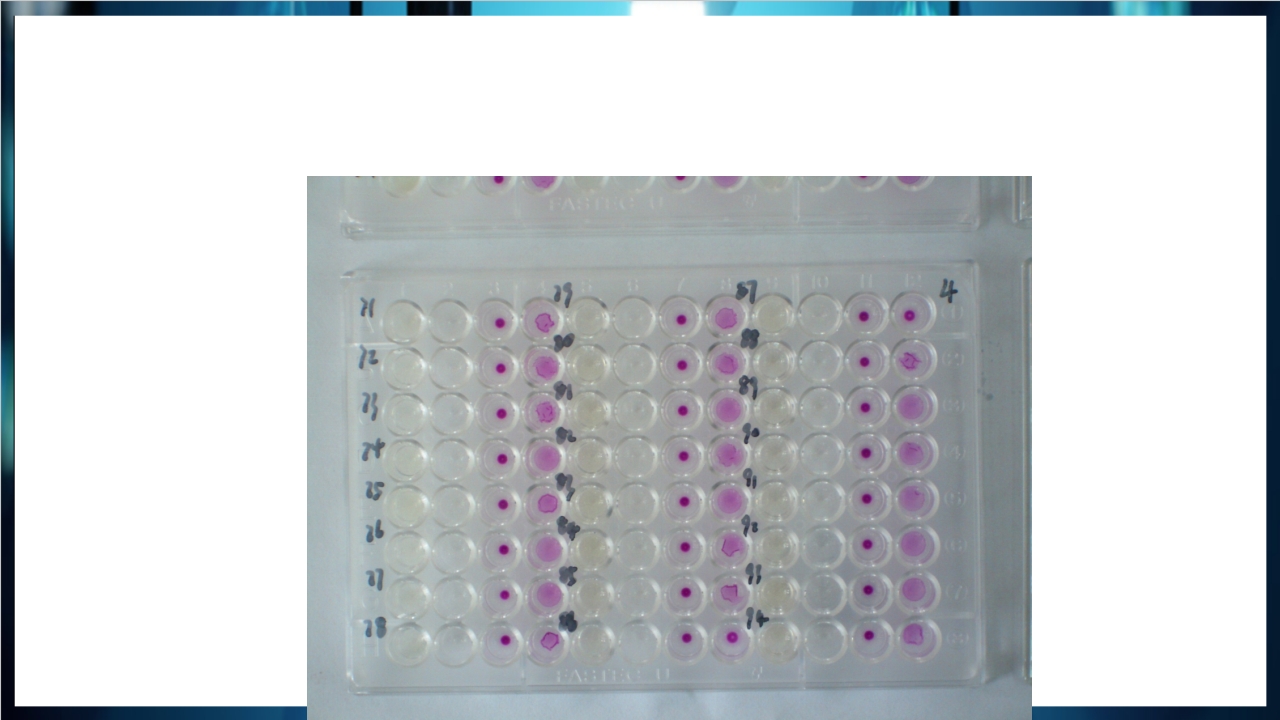 梅毒实验室诊断技术及梅毒实验室检测技术规范简介PPT课件38