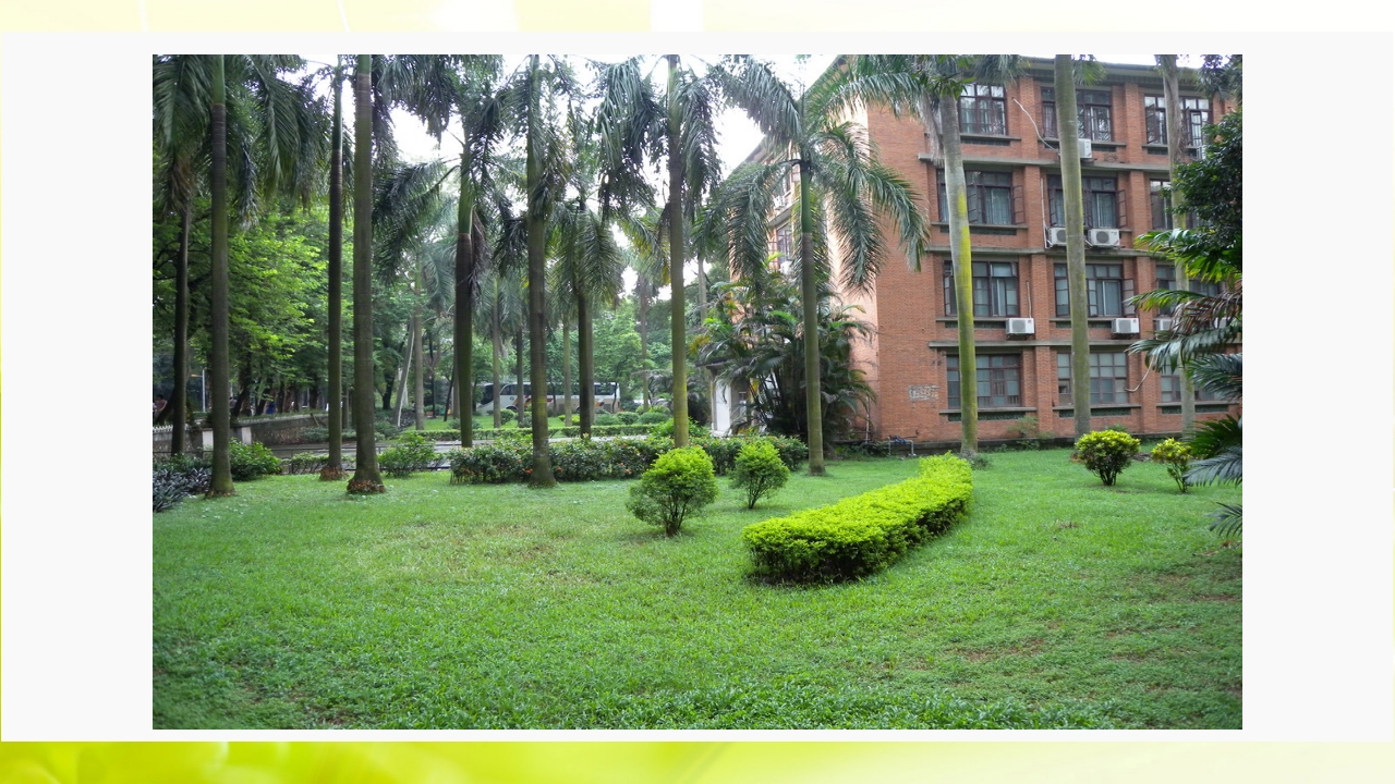 走进中山大学ppt17