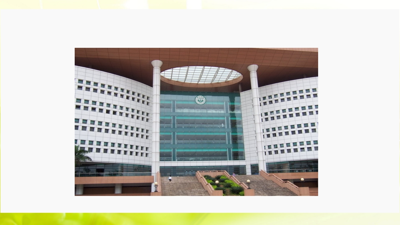 走进中山大学ppt19