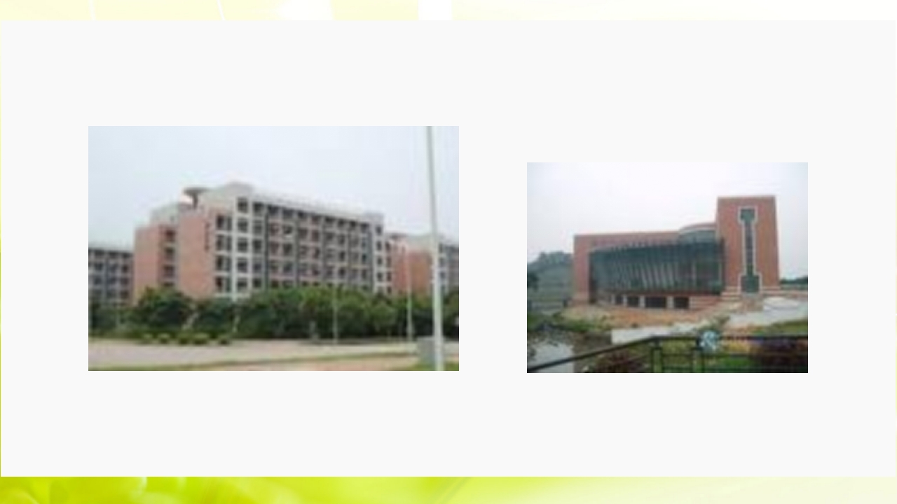 走进中山大学ppt28