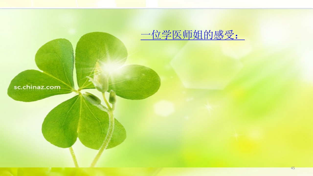 走进中山大学ppt45