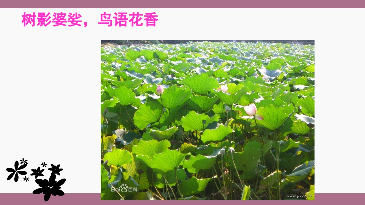 中山大学介绍ppt 10