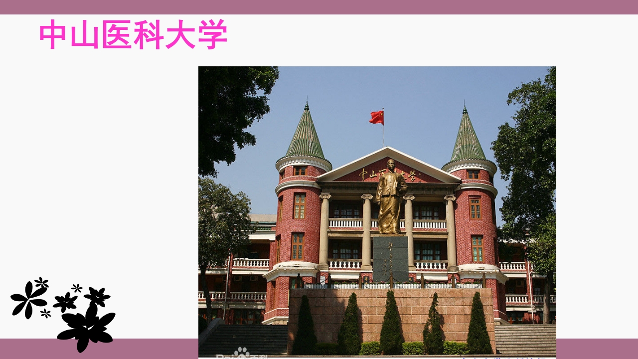 中山大学介绍ppt 13