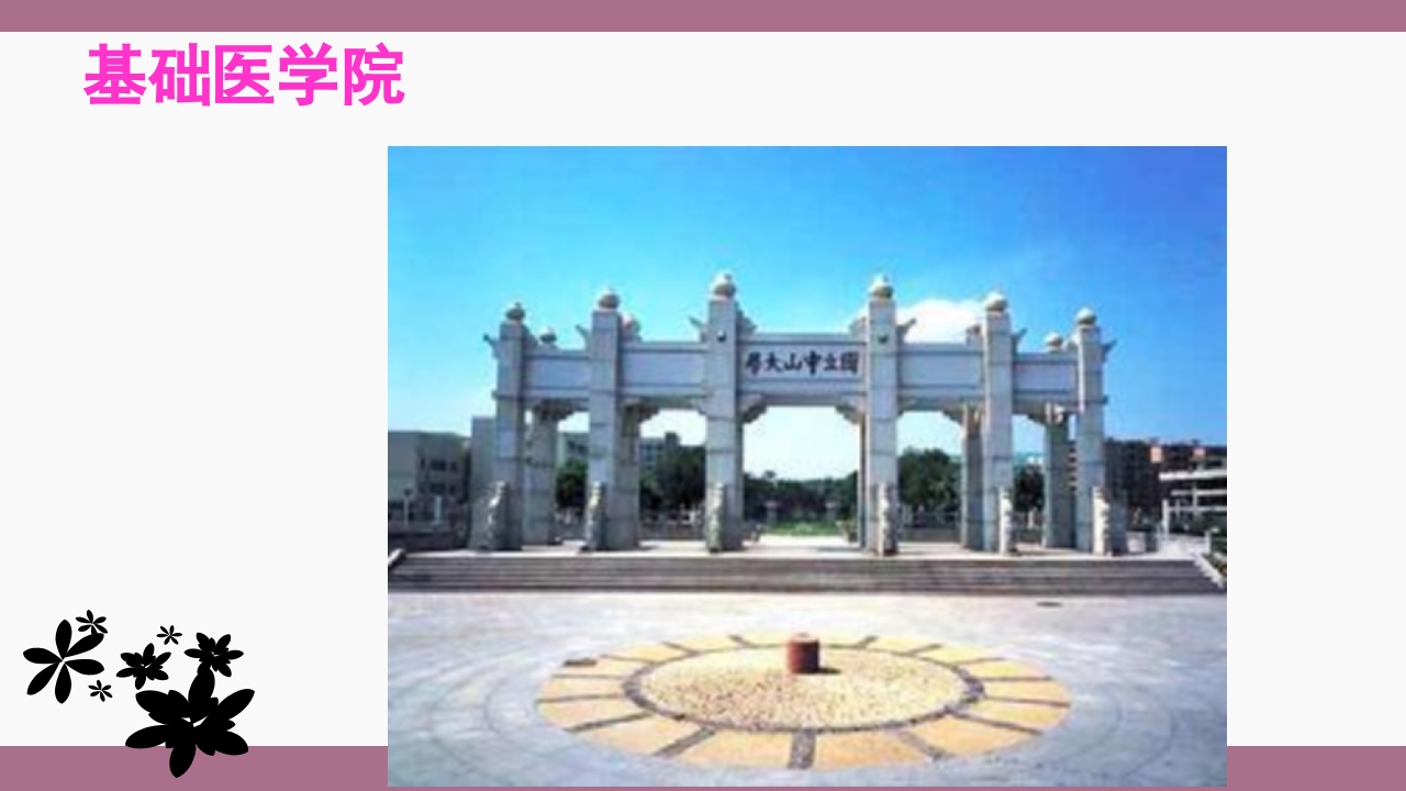 中山大学介绍ppt 15