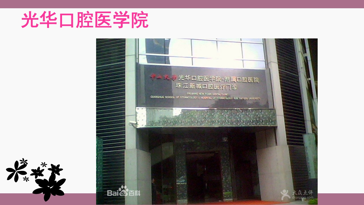 中山大学介绍ppt 17