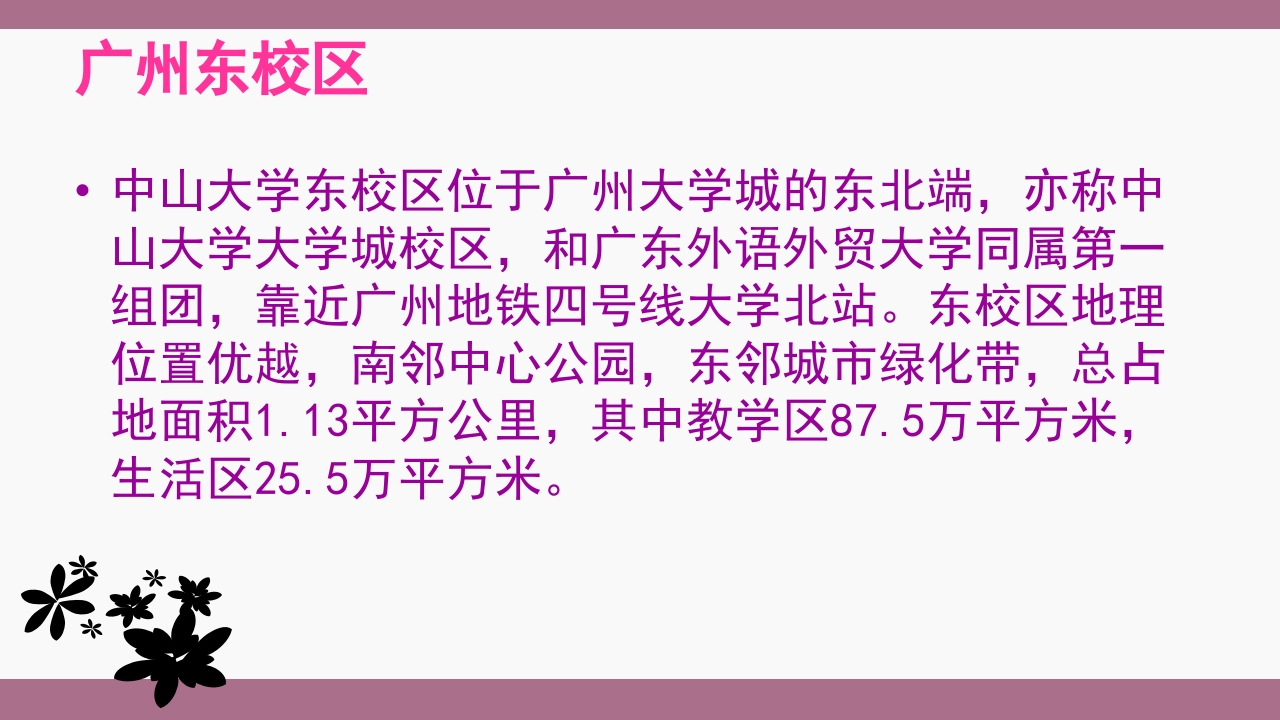 中山大学介绍ppt 19