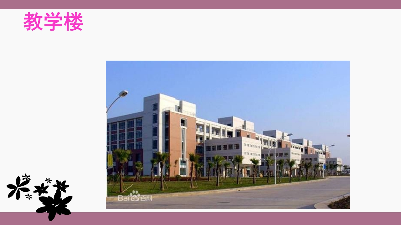 中山大学介绍ppt 21