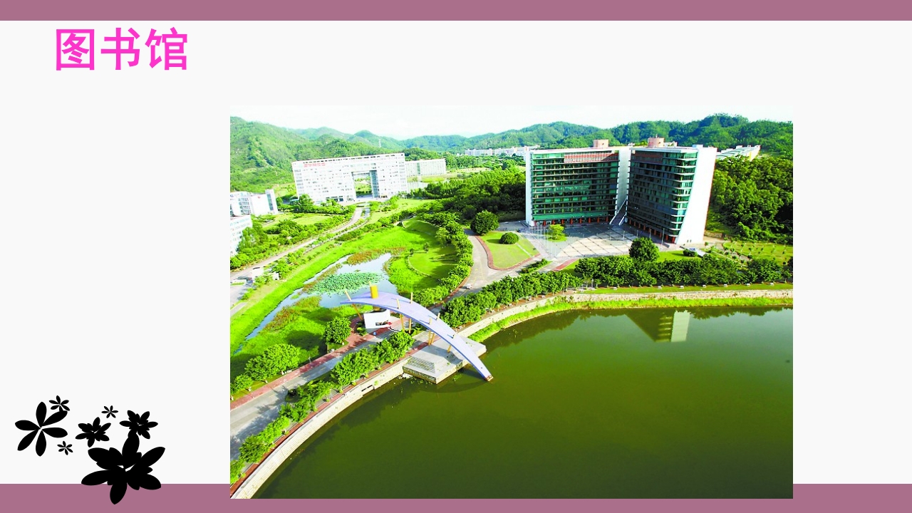 中山大学介绍ppt 24