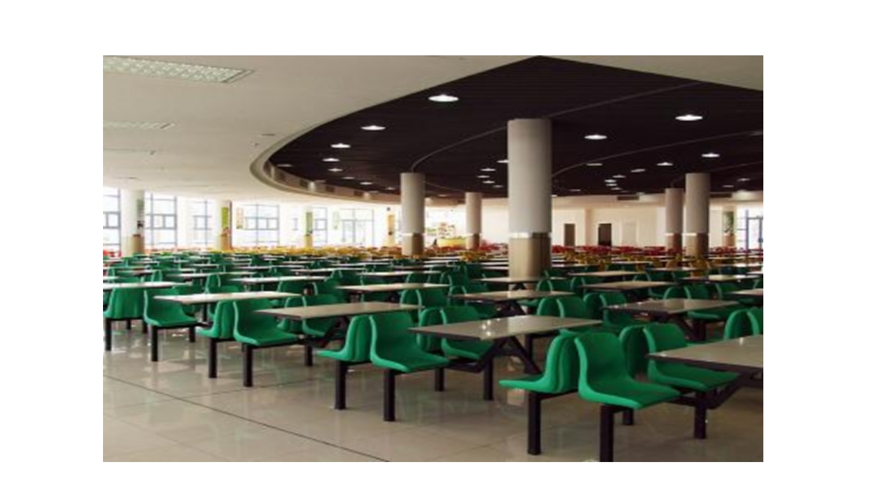 中山大学介绍ppt16