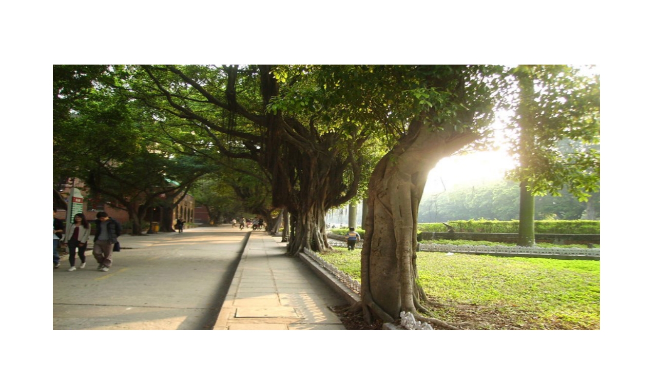 中山大学介绍ppt26