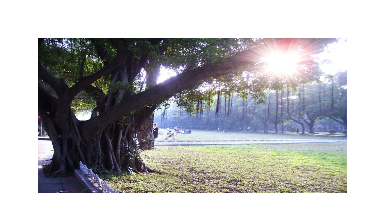 中山大学介绍ppt27