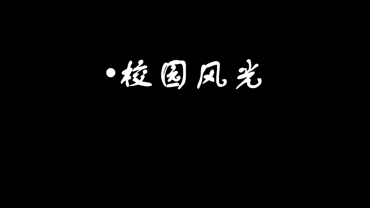 中山大学介绍ppt3