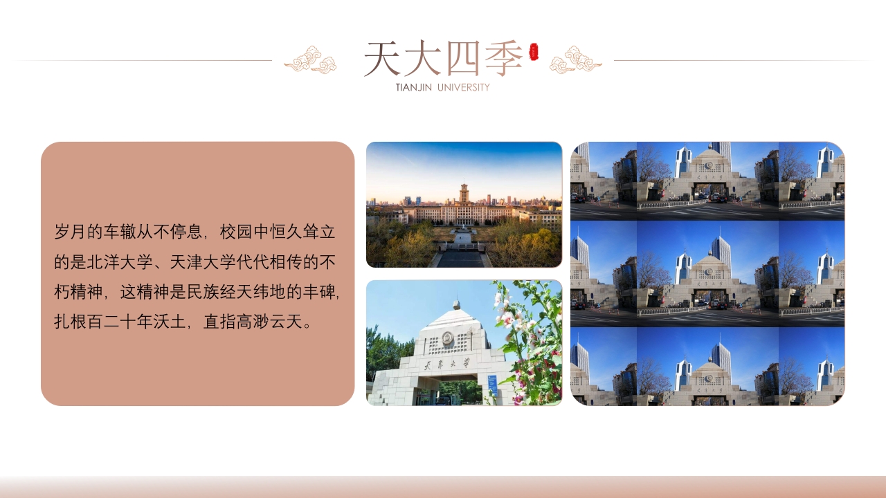 天津大学介绍PPT课件20