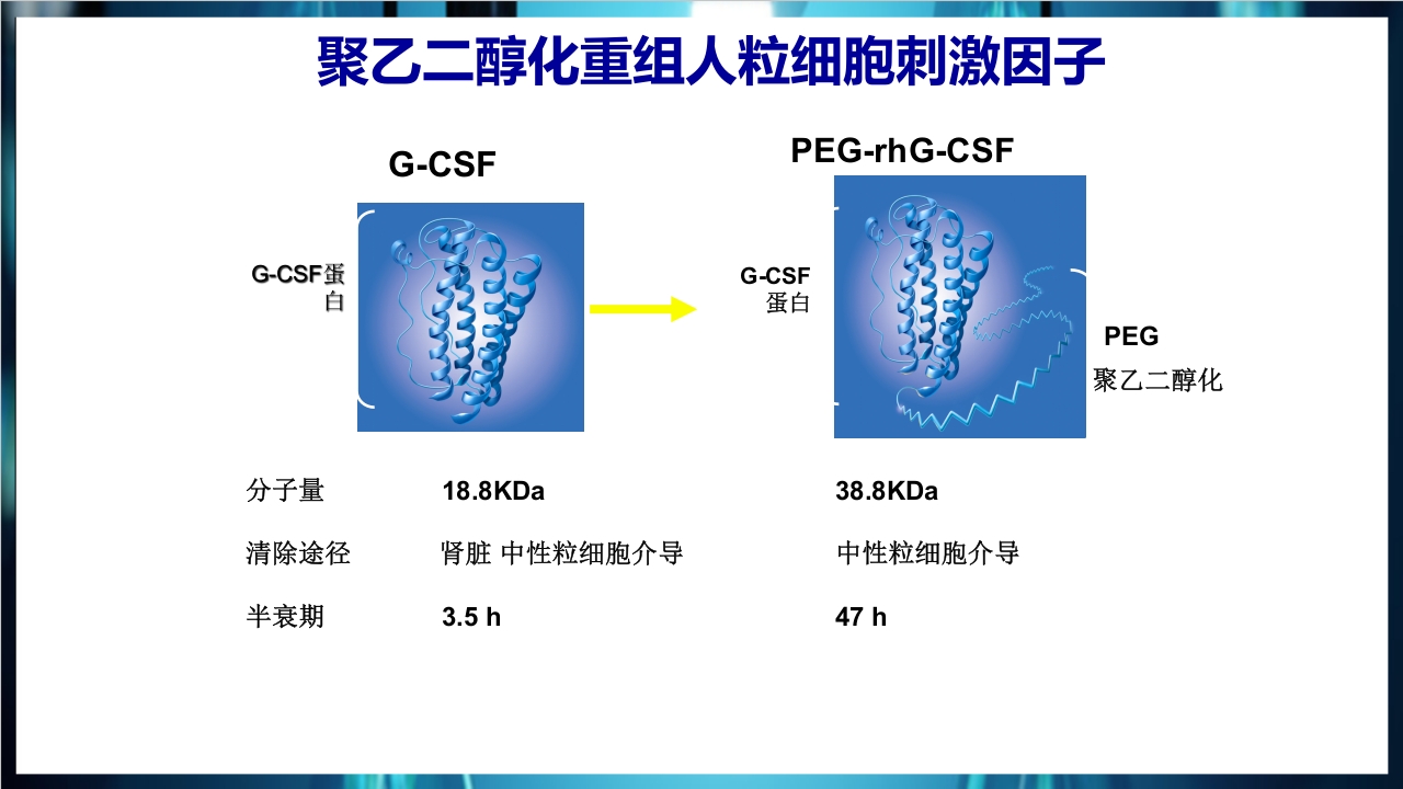 化疗后骨髓抑制的处理与预防PPT课件下载19
