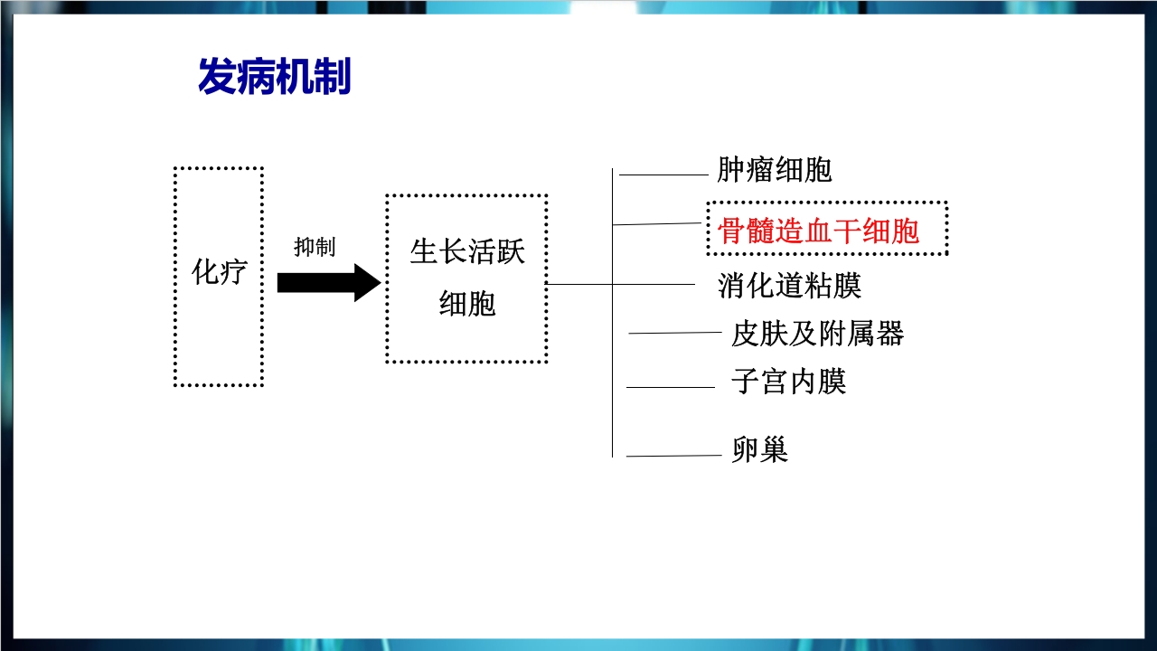 化疗后骨髓抑制的处理与预防PPT课件下载3
