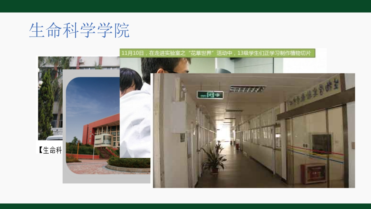 中山大学理科宣传ppt11