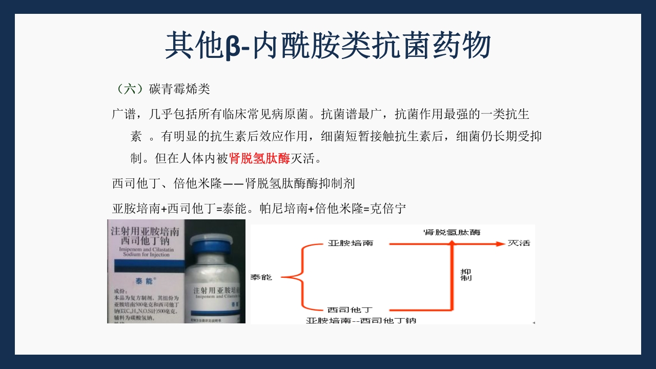 呼吸科常用药PPT课件下载18
