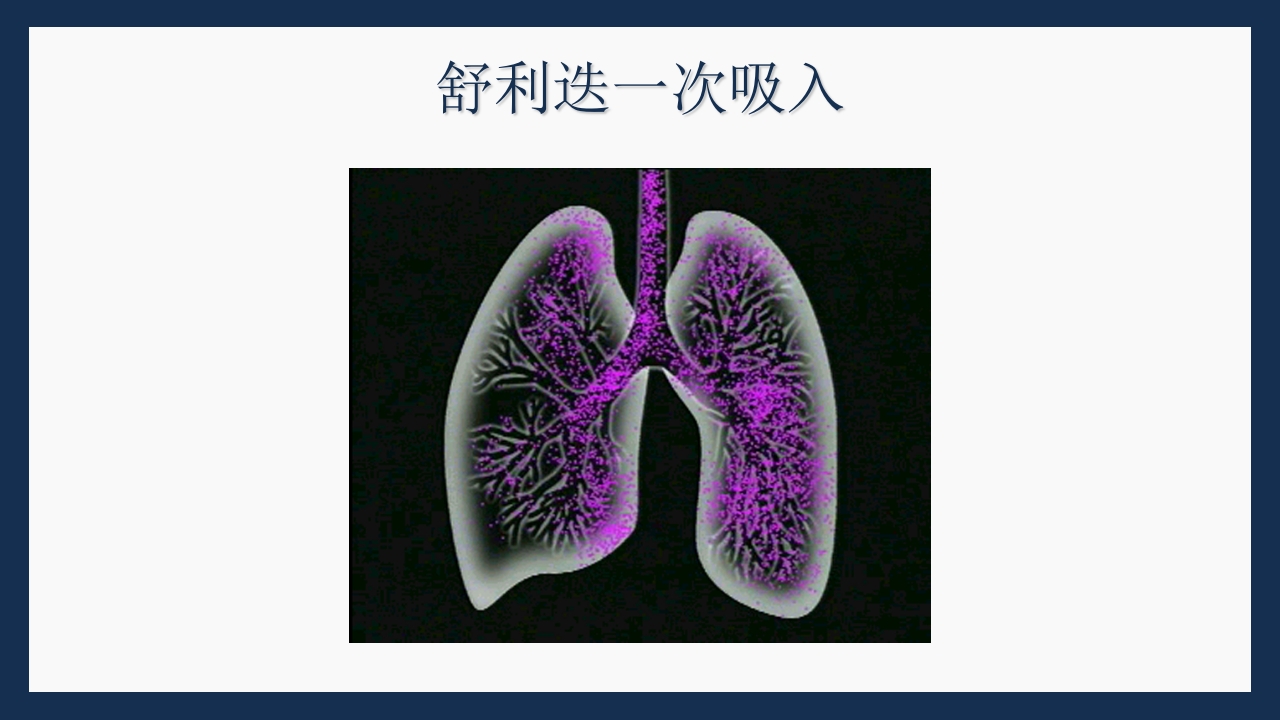 呼吸科常用药PPT课件下载65