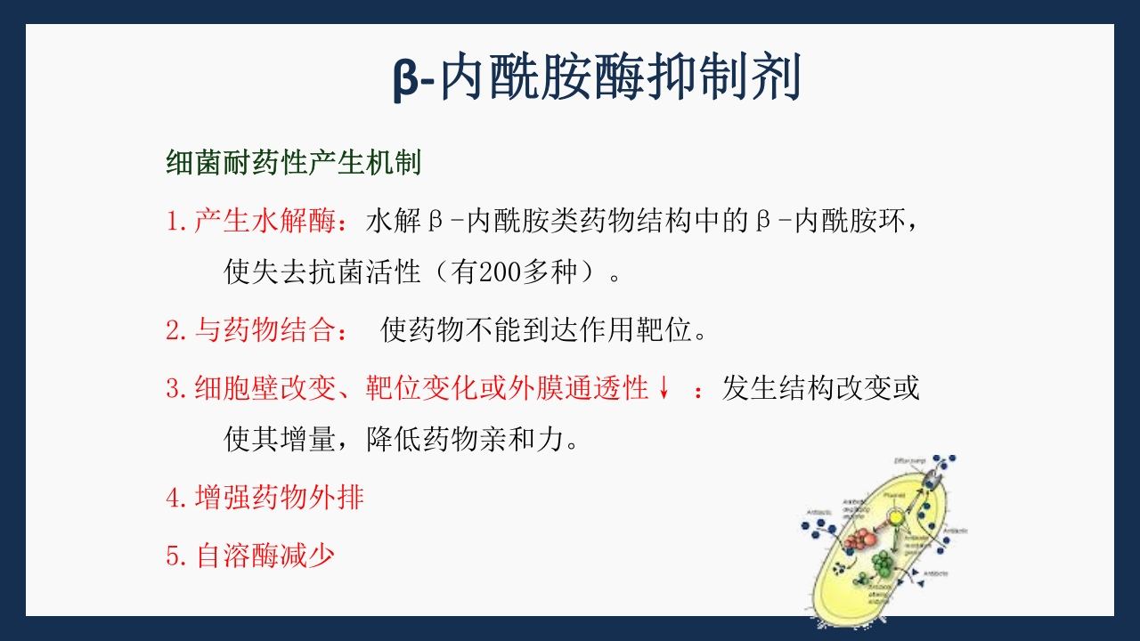 呼吸科常用药PPT课件下载9