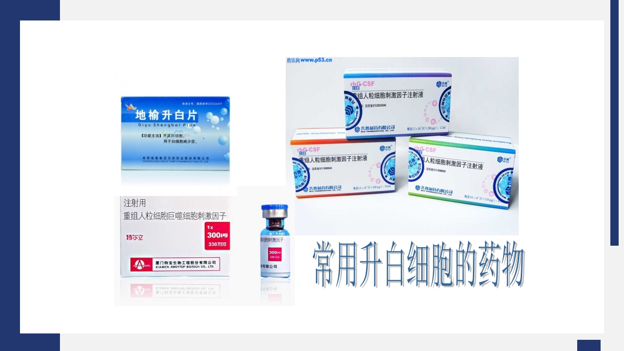 骨髓抑制护理PPT课件12