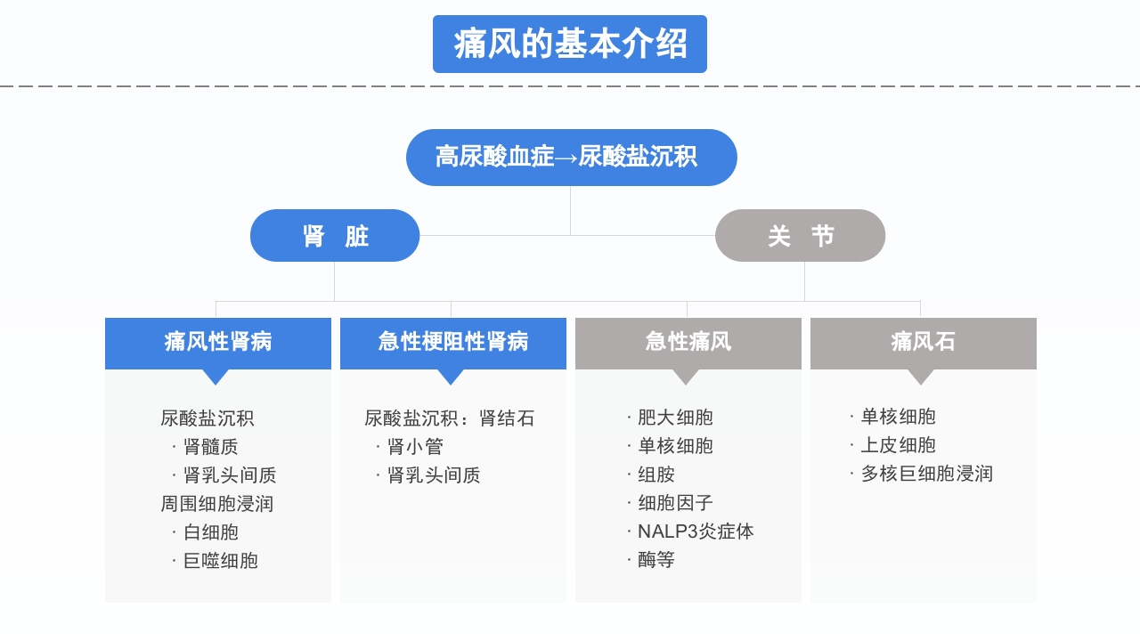 风湿性痛风知识宣讲PPT课件下载7