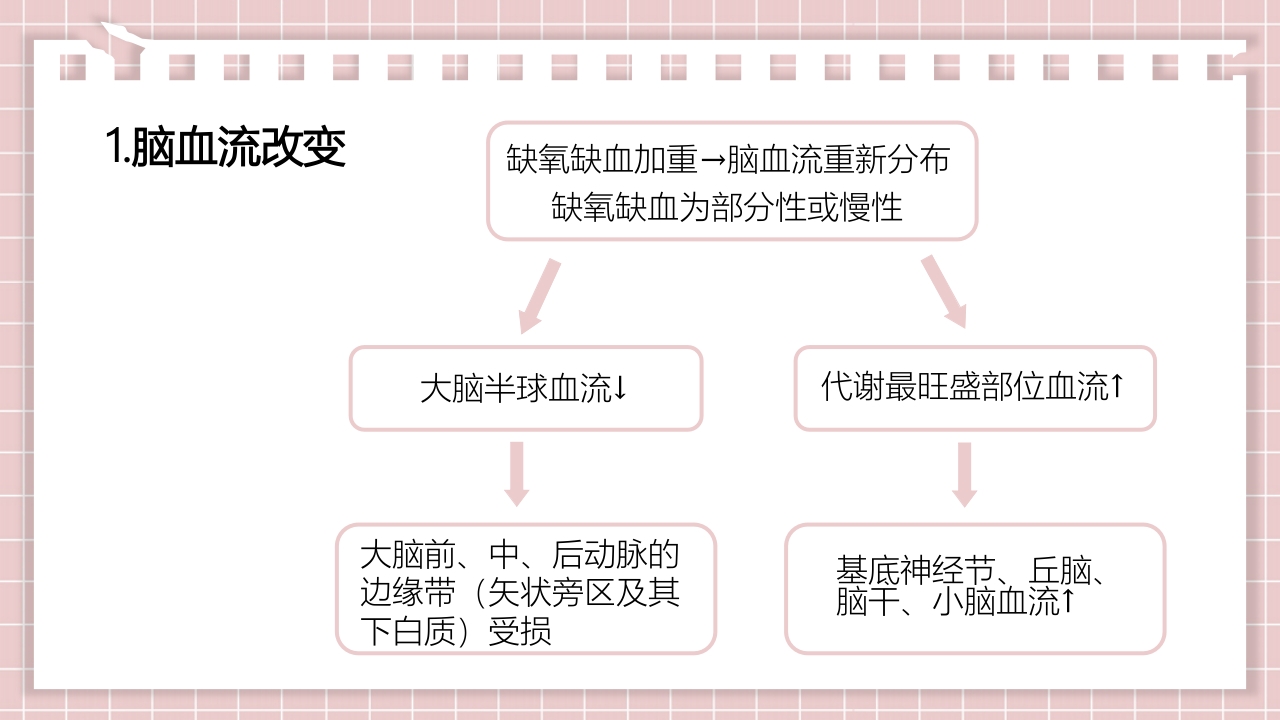 新生儿缺氧缺血性脑病PPT课件10